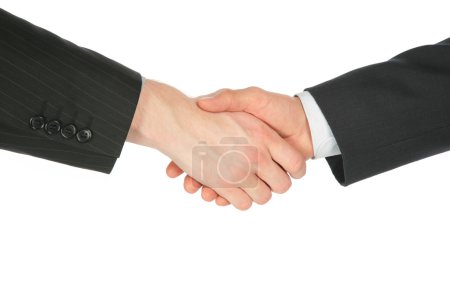 Two handshaking hands