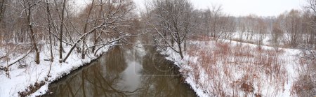 Panorama of winter wood with river