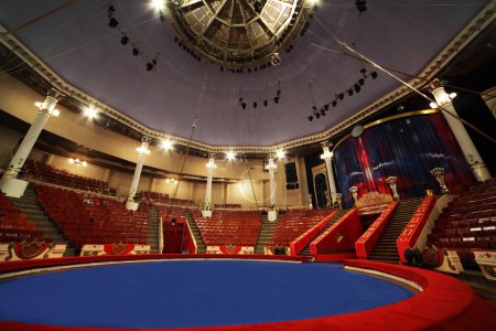 Blue circle arena in circus white lamps turned on, general view