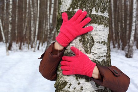 Hands in red gloves embrace birch