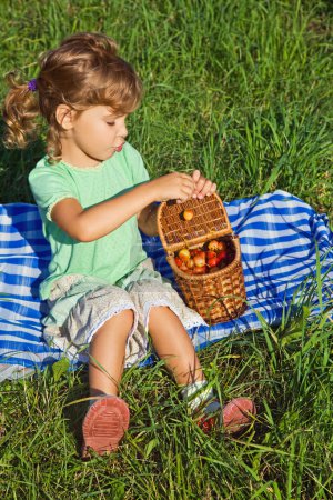 Pretty Little Girl will get from basket sweet cherries in garden