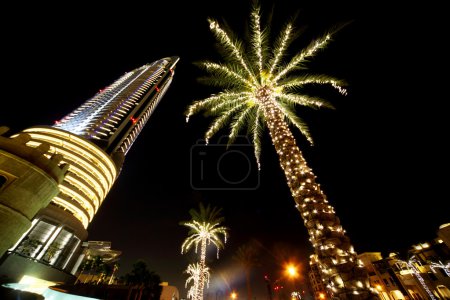 Night Dubai palms with decor lamps and skyscraper, United Arab E