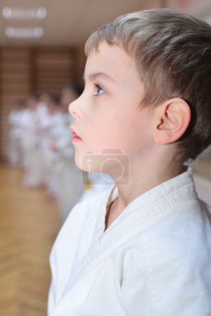Karate boy in sport hall