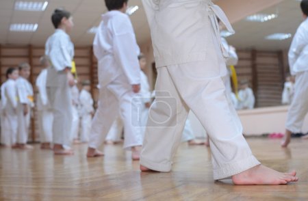 Karate boys in sport hall