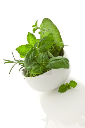 Herbs on white background