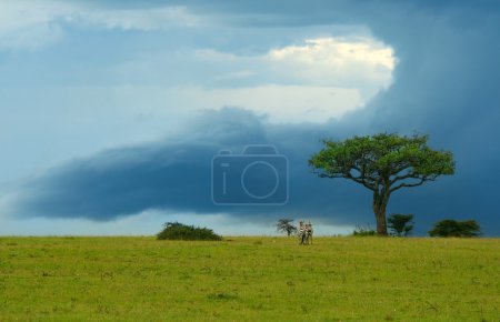 Beauty of Africa landscape