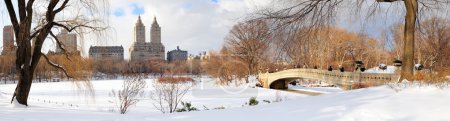 New York City Manhattan Central Park panorama in winter