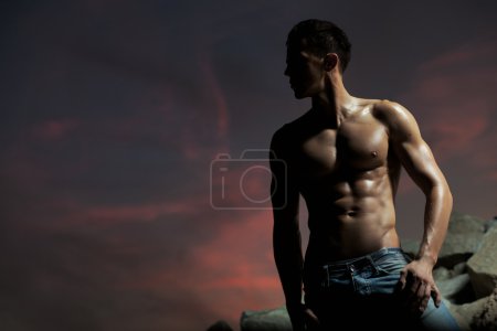 Muscular body of an handsome bodybuilder