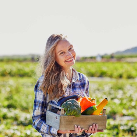 Beautiful young woman picking ripe organic vegetables in wooden crate in orchard or on farm on a fall day