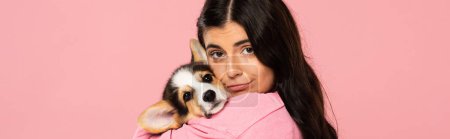 young woman holding cute Corgi puppy, isolated on pink
