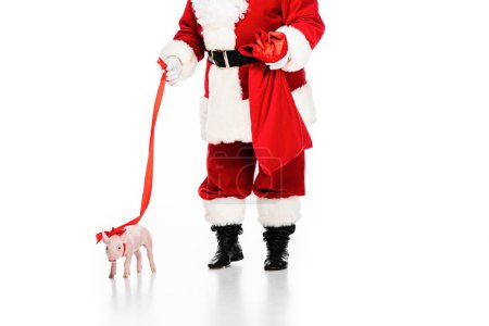cropped shot of santa claus with sack and leashed piggy isolated on white