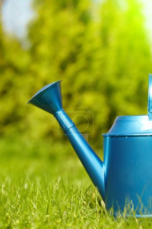 Blue watering can in garden
