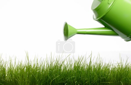 Watering can and grass