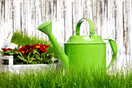 Garden tools and watering can with grass on white