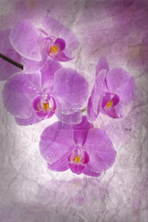 Flowers of orchids from crumpled paper