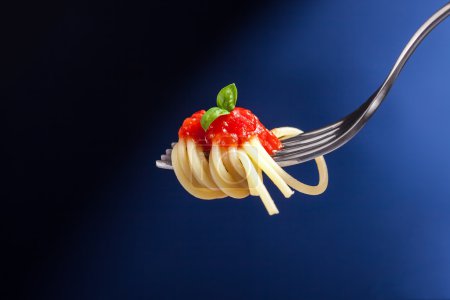 Spaghetti with Tomato Sauce wrapped on a fork