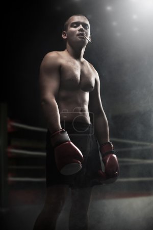 Portrait of attractive boxer in the dark