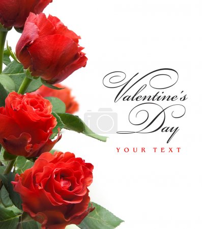 Art greeting card with red roses isolated on white background