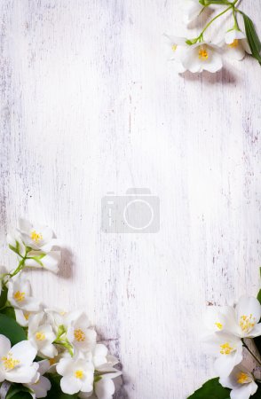 Art jasmine spring flowers frame on old wood background