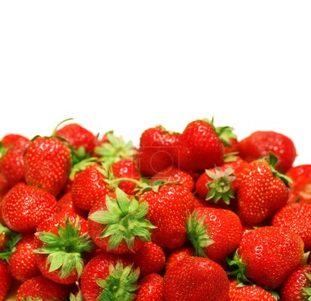 Strawberries Border