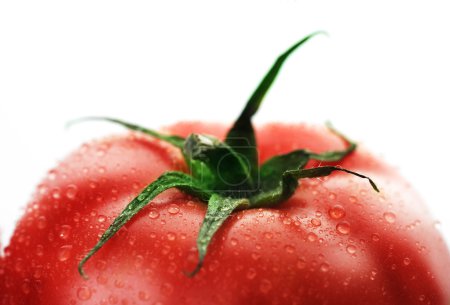 Ripe Fresh Tomato Border Closeup
