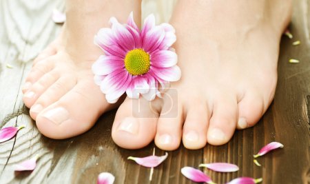 Beautiful Woman's Feet. Spa