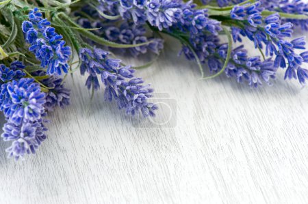 Lavender flowers over white