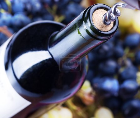 Wine Bottle closeup