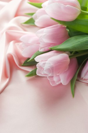 Beautiful Tulips On A Silk. With Copy Space