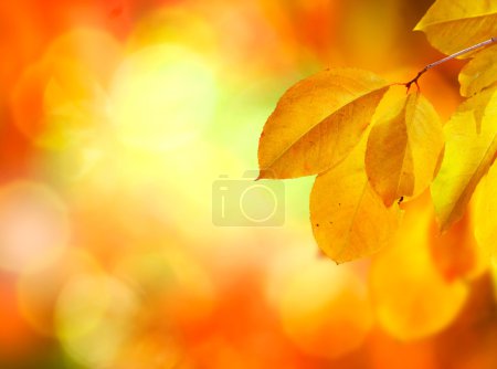 Autumn Abstract Background