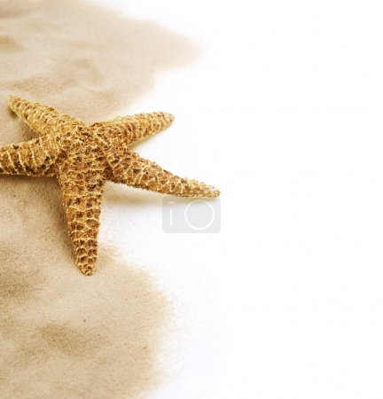 Starfish on the Sand border design. Isolated on white. Vacation
