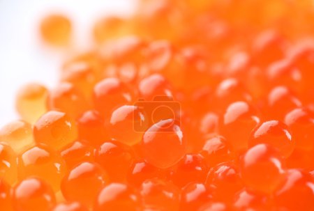 High Quality Red Caviar