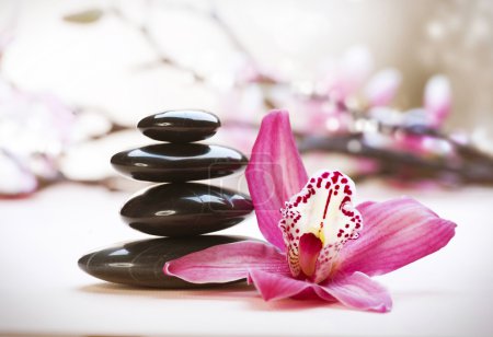 Spa Stones and orchid flower