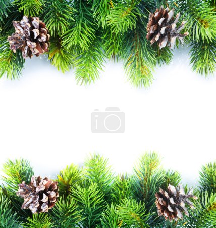 Christmas Fir Tree Border