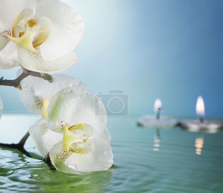 Burning Floating Candles And Flowers