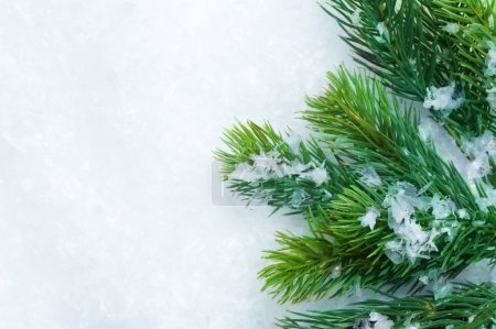Christmas Tree over Snow. Winter Background