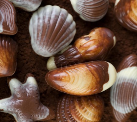 Chocolate Seashells background