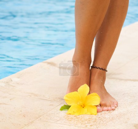 Legs In The Swimming Pool. Vacation Concept