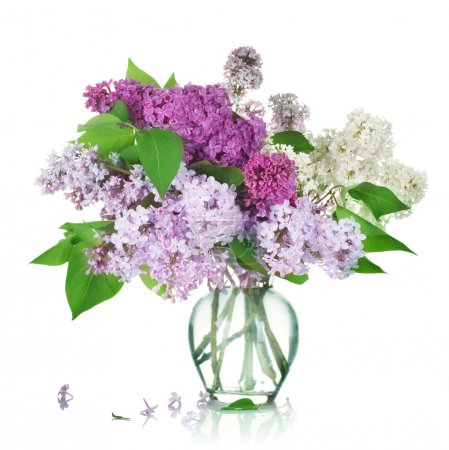 Beautiful Bunch Of Lilac In The Vase