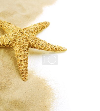 Starfish on the sand isolated on white