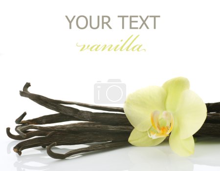 Vanilla Pods And Flower Over White