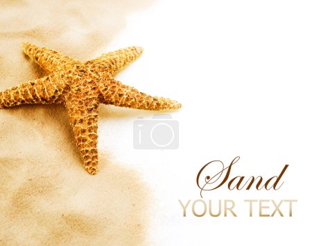 Starfish On The Sand Border Design. Isolated On White. Vacation