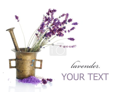 Lavender Cosmetics Concept