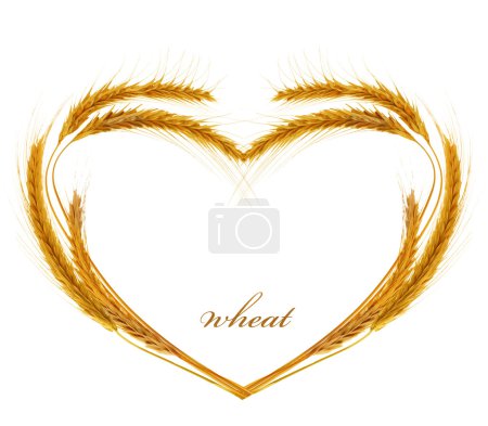 Wheat Heart