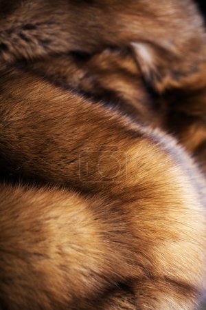 Luxury Sable Fur