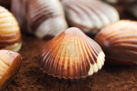 Chocolate Seashells Closeup
