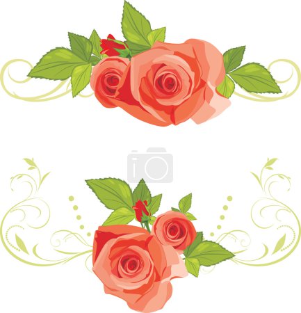 Bouquets of roses. Decorative borders