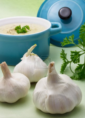 Garlic with creamy soup