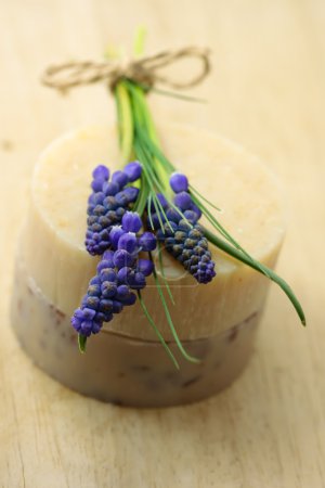 Handmade soap and grape hyacinth