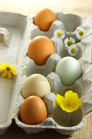 Organic colorful eggs